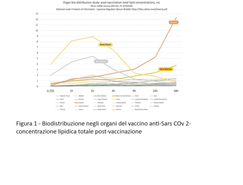 biodistribuzione vaccini